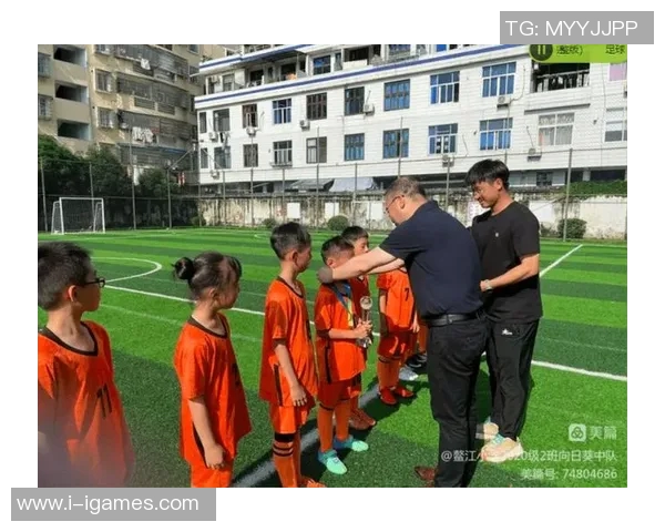 鳌江垂杨足球场周边美景与活动探秘带你领略足球文化的魅力与乐趣