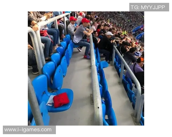 足球黄牛票现象解析与对策探讨如何维护球迷权益与市场秩序